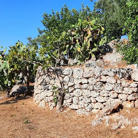 I Due Carrubi Vila Ostuni Exterior foto
