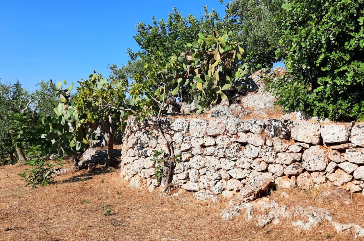 I Due Carrubi Holiday home